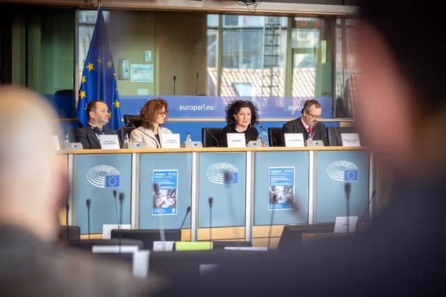 REGI - ECA Review 5/2025 on Smart specialization strategies, presentation by Annemie Turtelboom