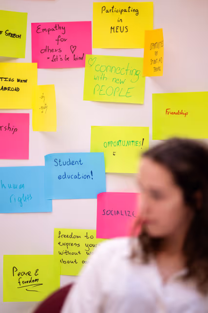 Fotogrāfija 45: EPAS 10-year Anniversary - Youth Seminar