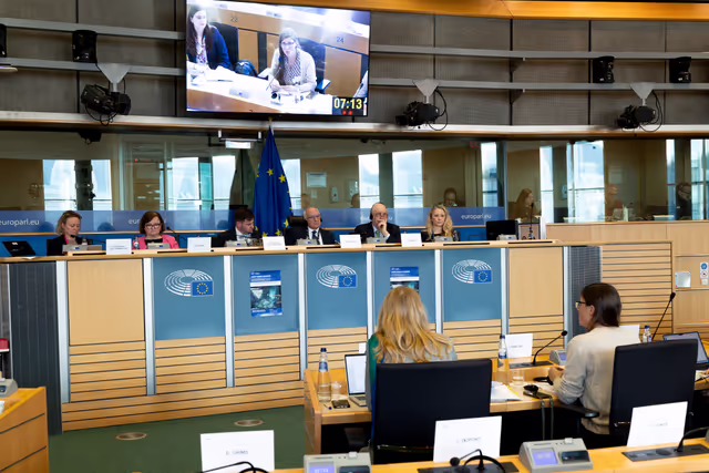 LIBE AFCO - Democracy and Elections in the Artificial Intelligence Era