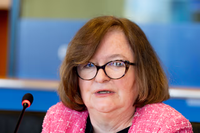 Fotografie 22: LIBE AFCO - Democracy and Elections in the Artificial Intelligence Era