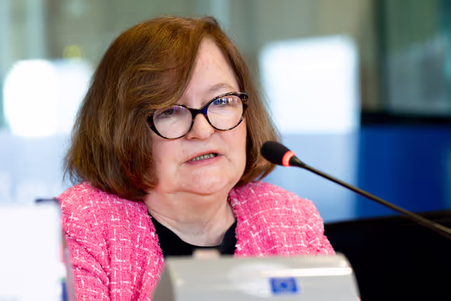 Fotografie 21: LIBE AFCO - Democracy and Elections in the Artificial Intelligence Era