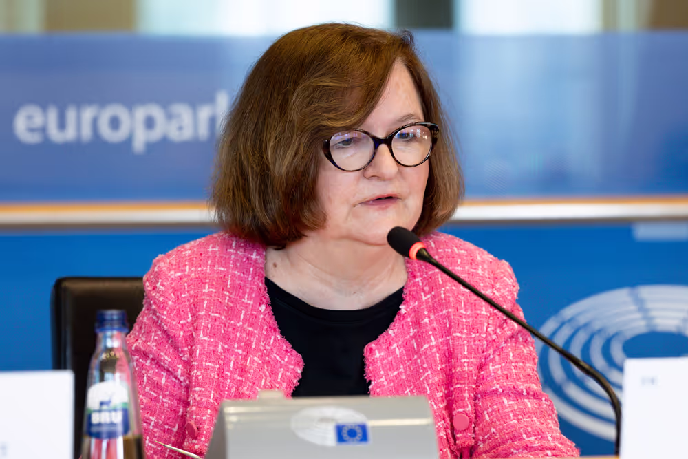 LIBE AFCO - Democracy and Elections in the Artificial Intelligence Era