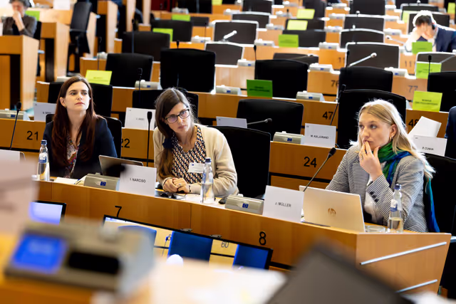 Fotografie 14: LIBE AFCO - Democracy and Elections in the Artificial Intelligence Era