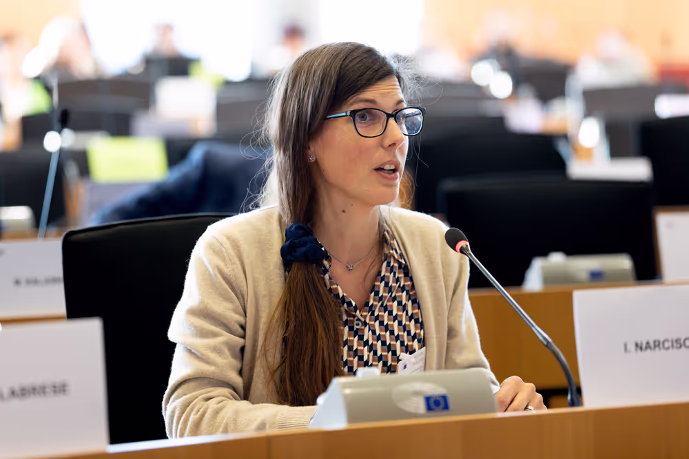 LIBE AFCO - Democracy and Elections in the Artificial Intelligence Era