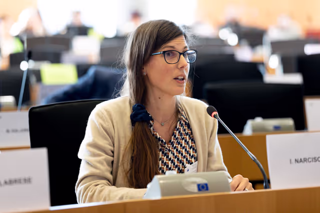 Fotografie 10: LIBE AFCO - Democracy and Elections in the Artificial Intelligence Era