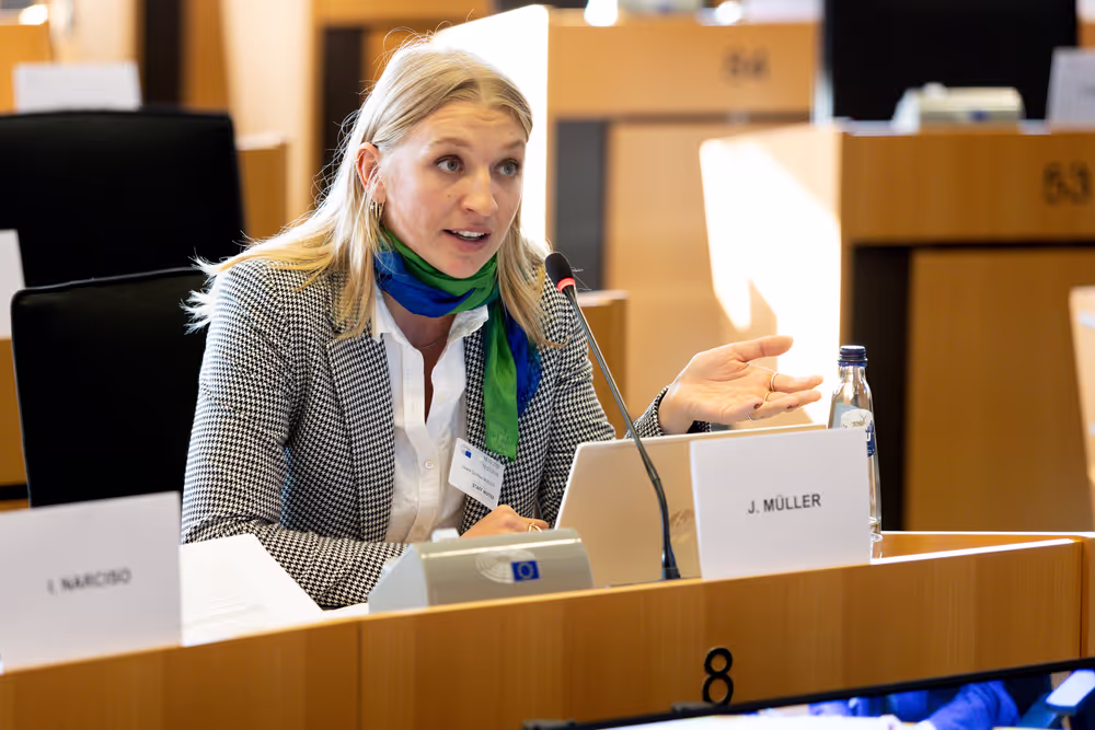 LIBE AFCO - Democracy and Elections in the Artificial Intelligence Era