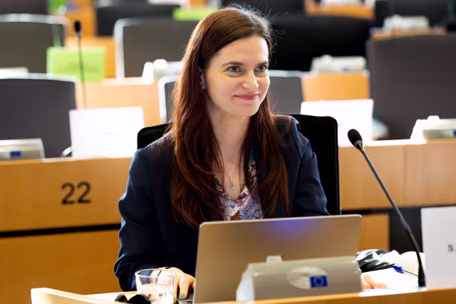 LIBE AFCO - Democracy and Elections in the Artificial Intelligence Era