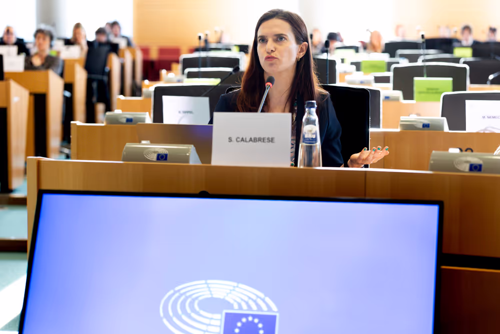 LIBE AFCO - Democracy and Elections in the Artificial Intelligence Era