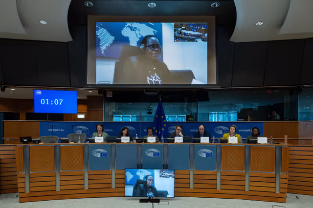 Photo 7: DROI - Public hearing on third-country nationals forced to fight in Russia's war of aggression against Ukraine