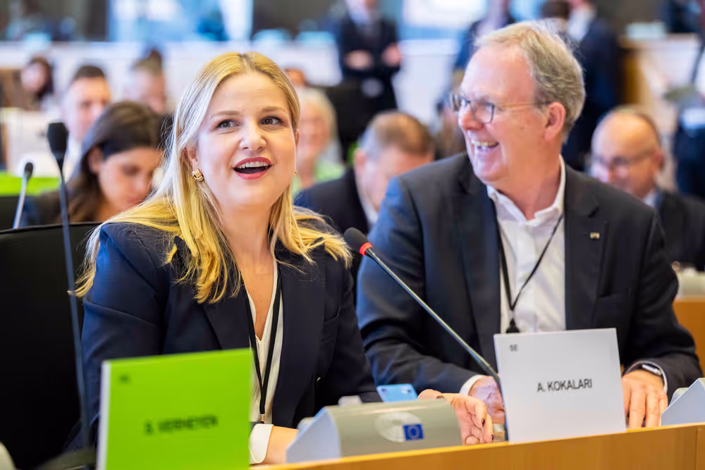 IMCO LIBE - Vote on their position on the Digital Omnibus on AI,