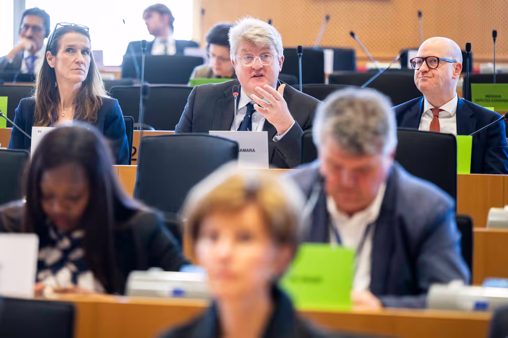 IMCO LIBE - Vote on their position on the Digital Omnibus on AI,