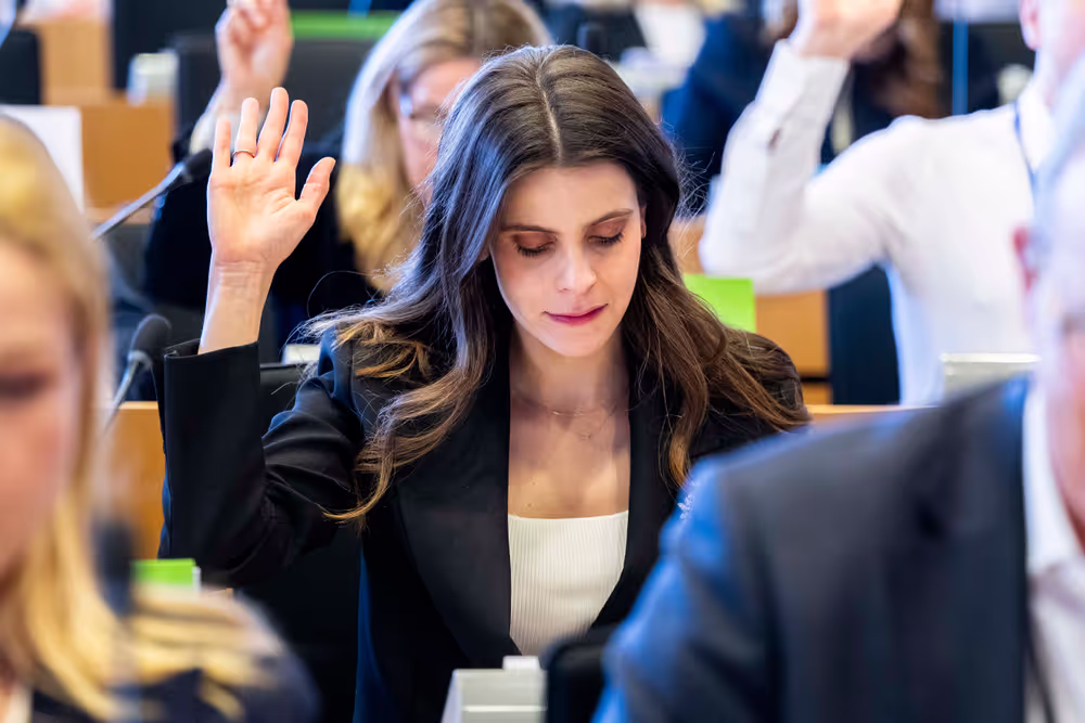 IMCO LIBE - Vote on their position on the Digital Omnibus on AI,