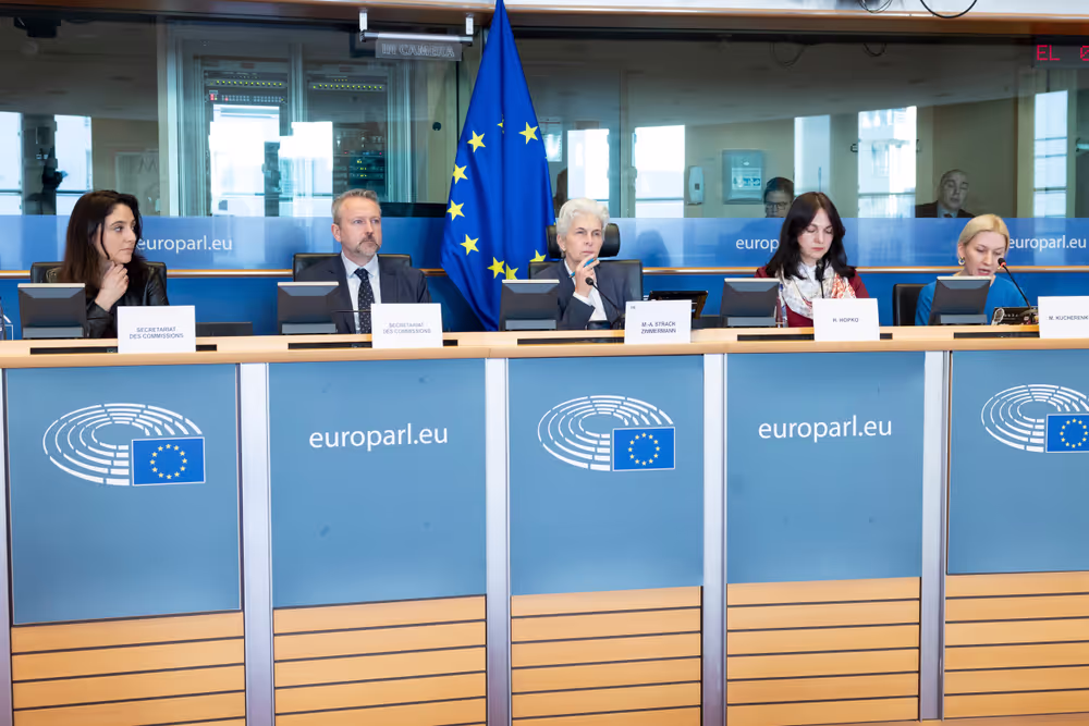 SEDE - Learning from Ukraine: building Europe’s strategic defence readiness and the EU's new defence instruments