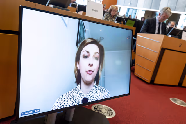 Fotografie 3: SEDE - Learning from Ukraine: building Europe’s strategic defence readiness and the EU's new defence instruments