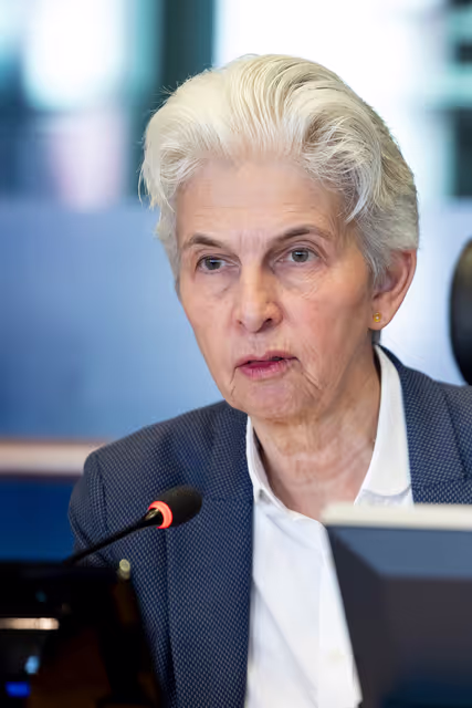 Fotografie 15: SEDE - Learning from Ukraine: building Europe’s strategic defence readiness and the EU's new defence instruments