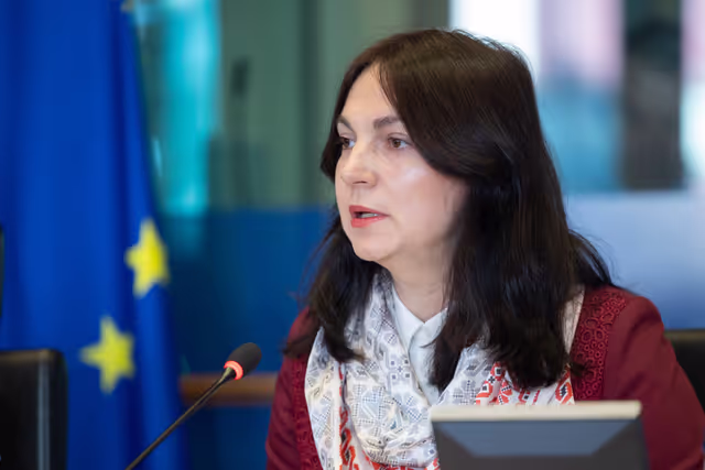 Fotografie 16: SEDE - Learning from Ukraine: building Europe’s strategic defence readiness and the EU's new defence instruments