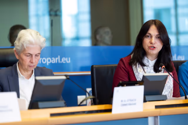 Fotografie 14: SEDE - Learning from Ukraine: building Europe’s strategic defence readiness and the EU's new defence instruments