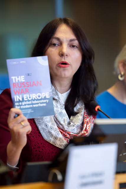 Fotografie 10: SEDE - Learning from Ukraine: building Europe’s strategic defence readiness and the EU's new defence instruments