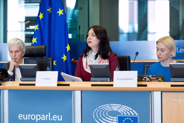 Fotografie 9: SEDE - Learning from Ukraine: building Europe’s strategic defence readiness and the EU's new defence instruments