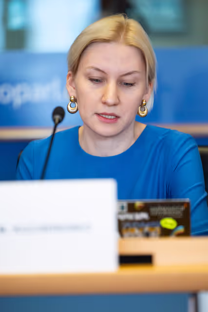 Fotografie 7: SEDE - Learning from Ukraine: building Europe’s strategic defence readiness and the EU's new defence instruments