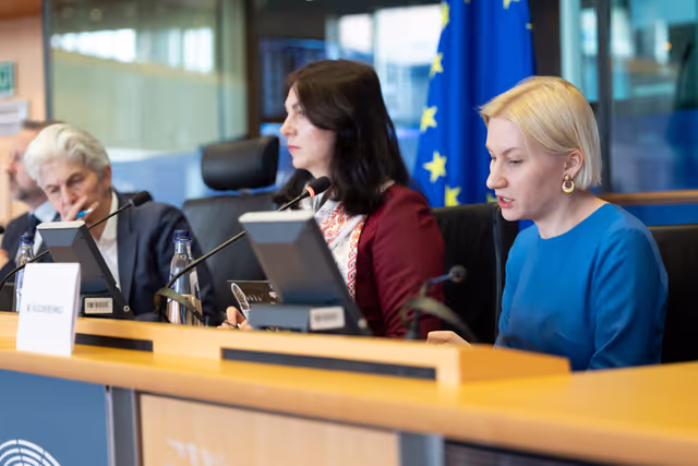 Fotografie 6: SEDE - Learning from Ukraine: building Europe’s strategic defence readiness and the EU's new defence instruments