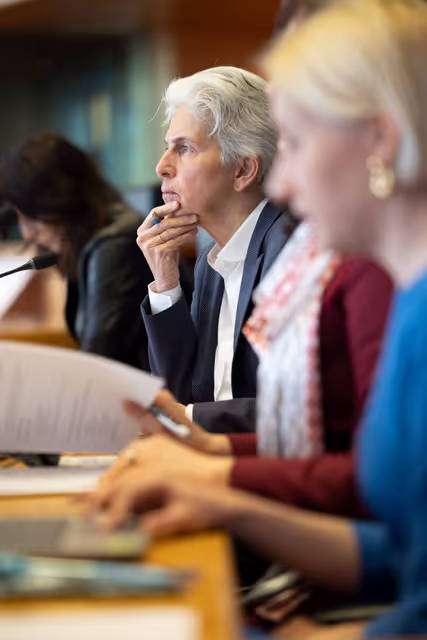 Fotografie 5: SEDE - Learning from Ukraine: building Europe’s strategic defence readiness and the EU's new defence instruments