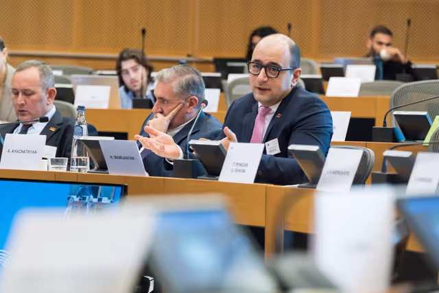 Снимка 14: 5th EU-Armenia Parliamentary Partnership Committee
