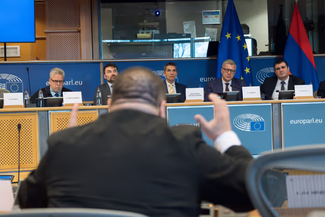 Снимка 12: 5th EU-Armenia Parliamentary Partnership Committee
