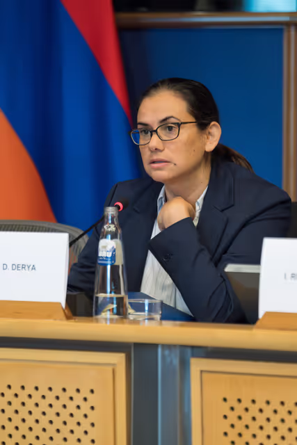 Снимка 11: 5th EU-Armenia Parliamentary Partnership Committee
