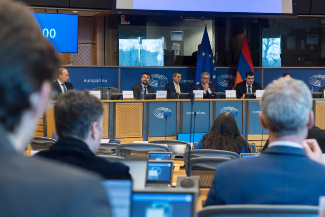 Снимка 3: 5th EU-Armenia Parliamentary Partnership Committee