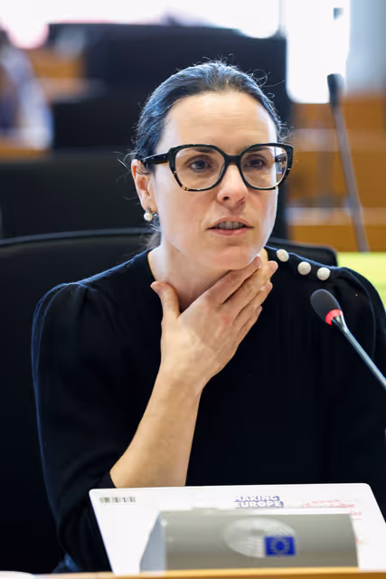 Φωτογραφία 29: LIBE workshop - What Europeans Think about Immigration and Why It Matters