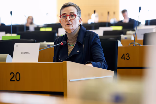 LIBE workshop - What Europeans Think about Immigration and Why It Matters