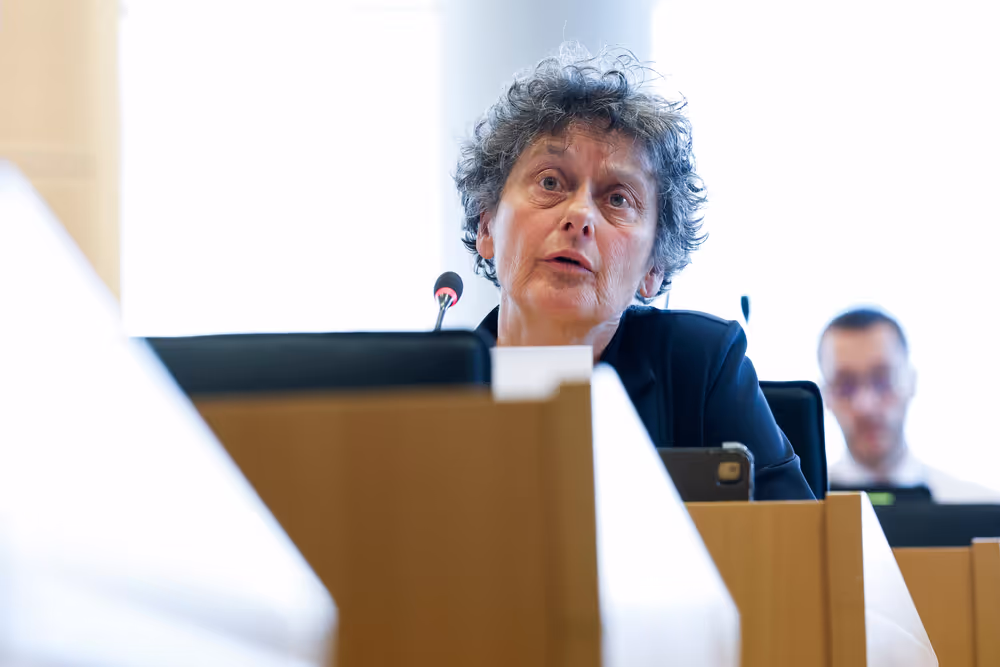LIBE workshop - What Europeans Think about Immigration and Why It Matters