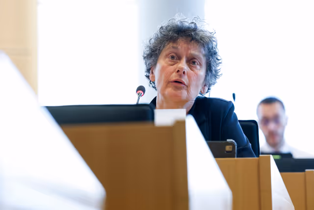Φωτογραφία 19: LIBE workshop - What Europeans Think about Immigration and Why It Matters