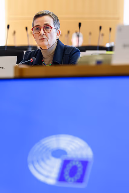 LIBE workshop - What Europeans Think about Immigration and Why It Matters