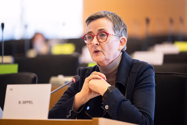 LIBE - Presentation of the activities in 2025 and priorities for 2026 of the Justice and Home Affairs Agencies’ Network (JHAAN)