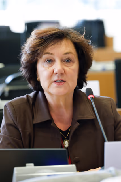 Fotografija 42: IMCO - AliExpress faces EU scrutiny for systemic sale of unsafe and counterfeit goods