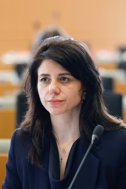 Fotografija 39: IMCO - AliExpress faces EU scrutiny for systemic sale of unsafe and counterfeit goods