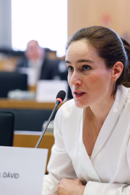 Fotografija 9: IMCO - AliExpress faces EU scrutiny for systemic sale of unsafe and counterfeit goods