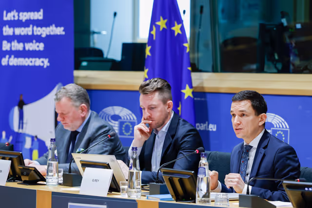 Panel Discussion - 'How can the next EU long-term budget better support democracy’