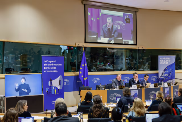 Panel Discussion - 'How can the next EU long-term budget better support democracy’