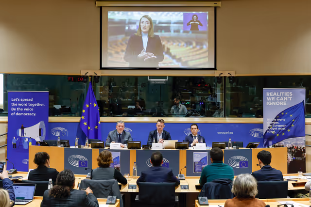 Panel Discussion - 'How can the next EU long-term budget better support democracy’