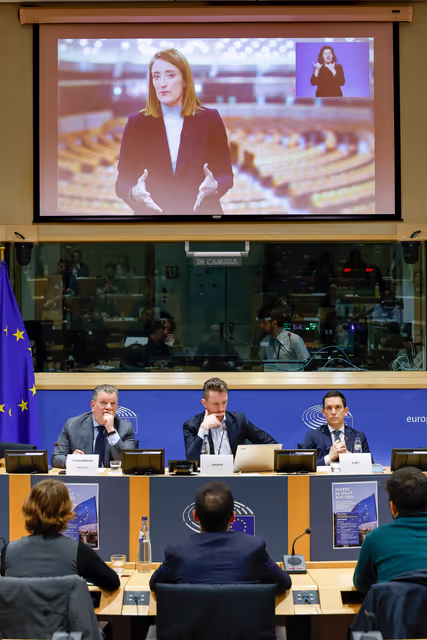 Panel Discussion - 'How can the next EU long-term budget better support democracy’
