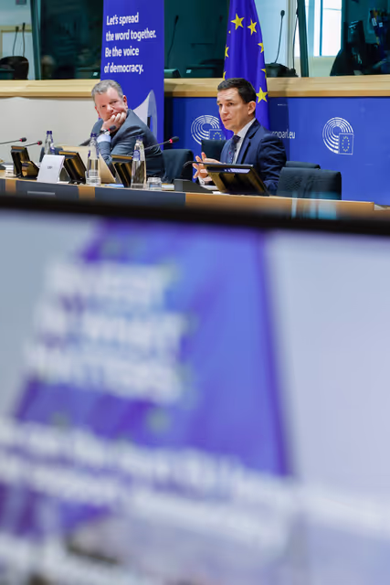 Panel Discussion - 'How can the next EU long-term budget better support democracy’