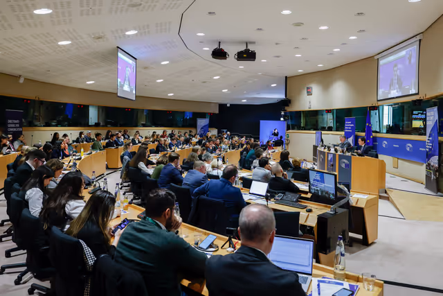 Panel Discussion - 'How can the next EU long-term budget better support democracy’
