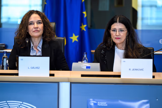 Zdjęcie 8: FEMM SANT - Hearing on Menopause Care in the EU