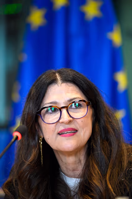 Zdjęcie 21: FEMM SANT - Hearing on Menopause Care in the EU