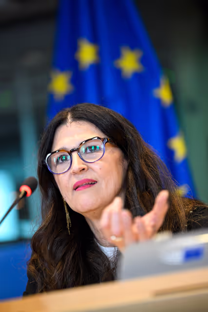 Zdjęcie 20: FEMM SANT - Hearing on Menopause Care in the EU