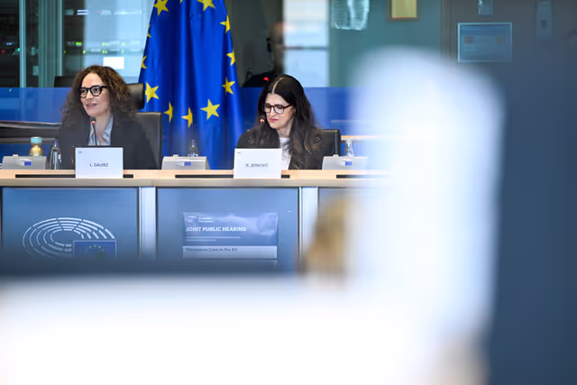 Zdjęcie 18: FEMM SANT - Hearing on Menopause Care in the EU