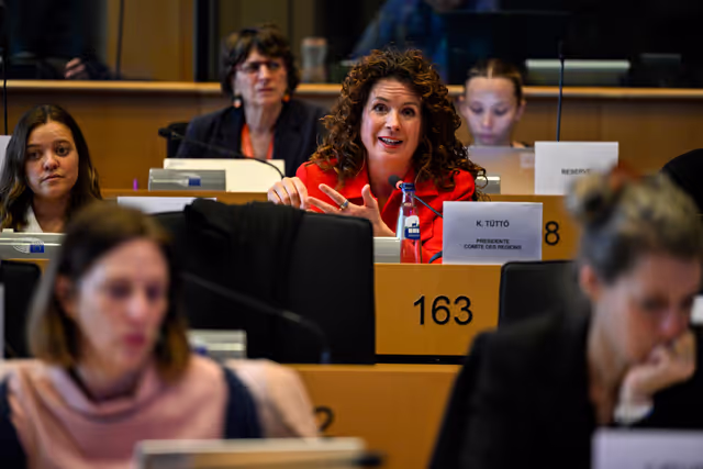 Zdjęcie 14: FEMM SANT - Hearing on Menopause Care in the EU